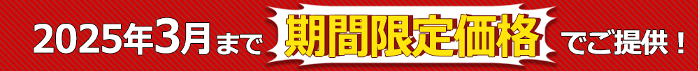 期間限定価格